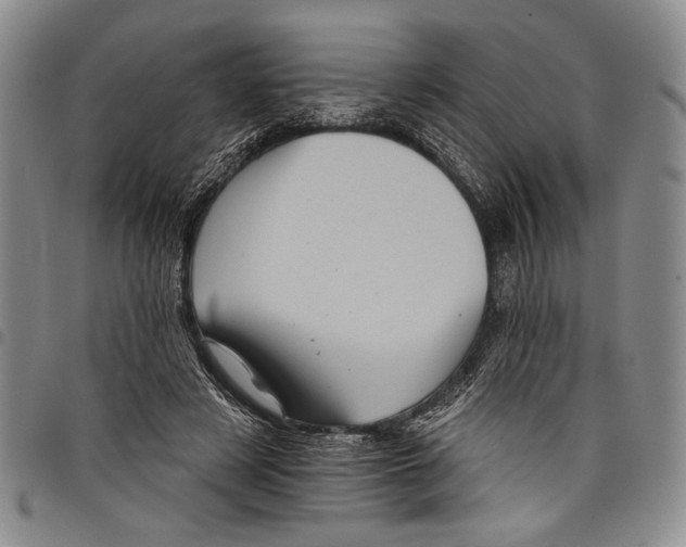 X0000097950497200804141007