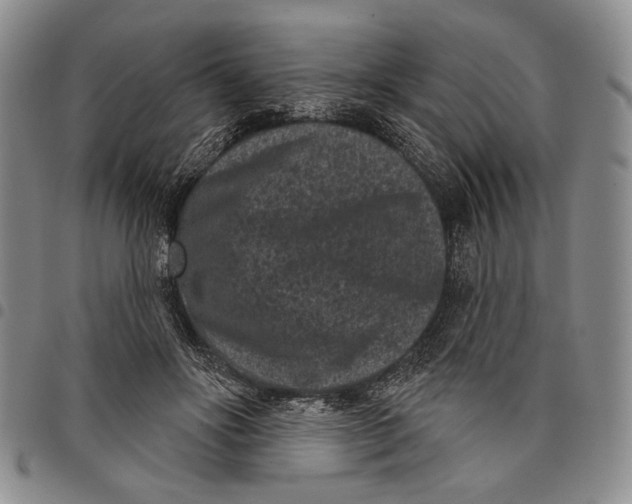 X0000097950502200804141007