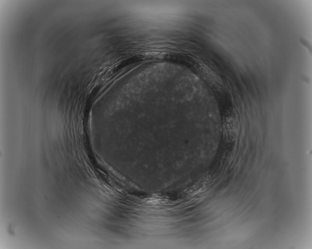 X0000097950504200804141007
