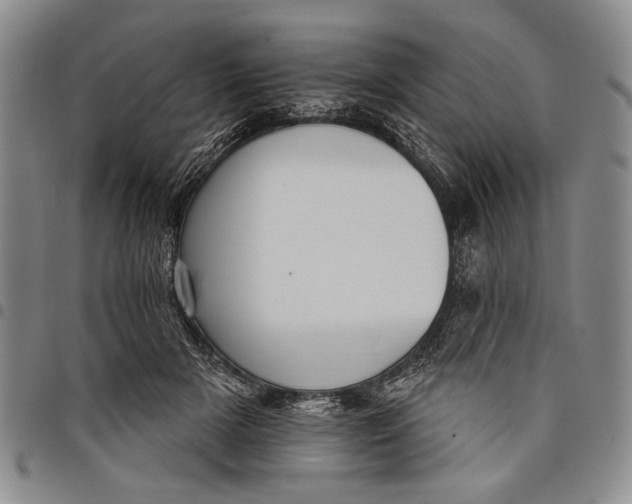 X0000097950505200804141007