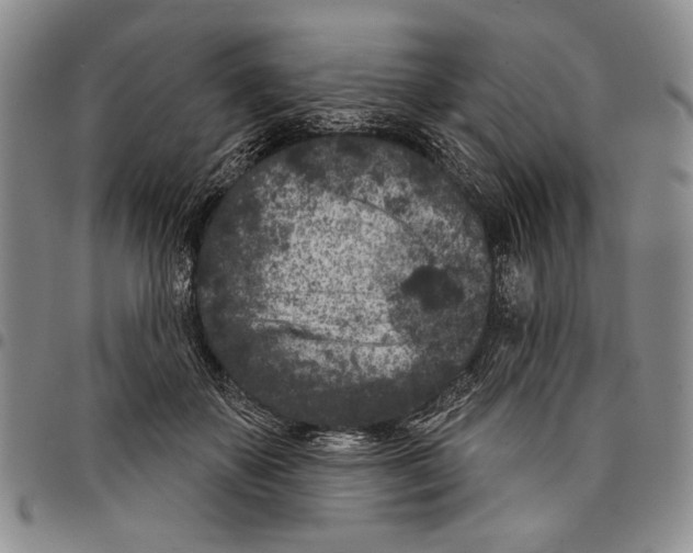 X0000097950507200804141007
