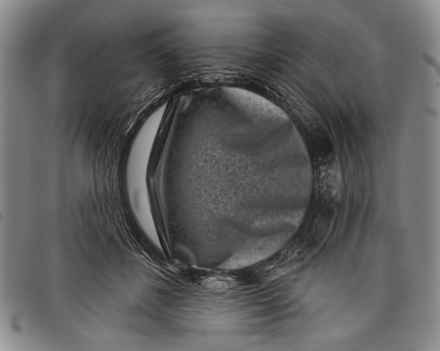 X0000097950508200804141007