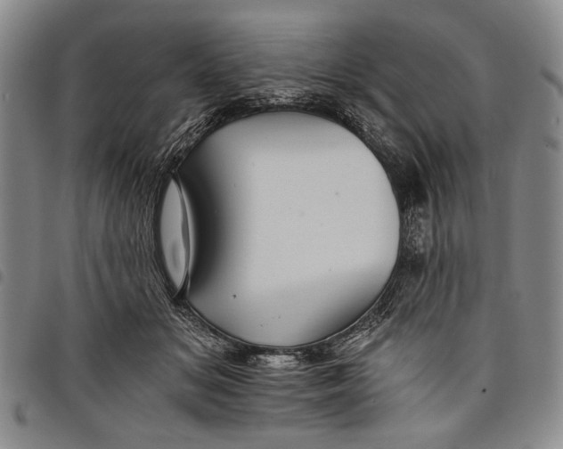 X0000097950509200804141007