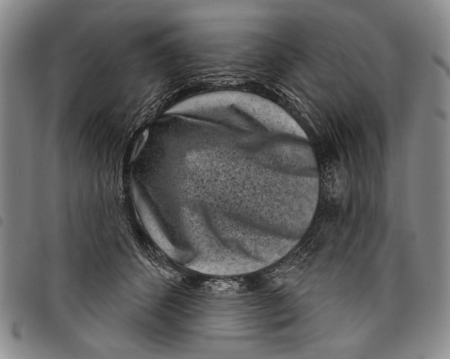 X0000097950512200804141007