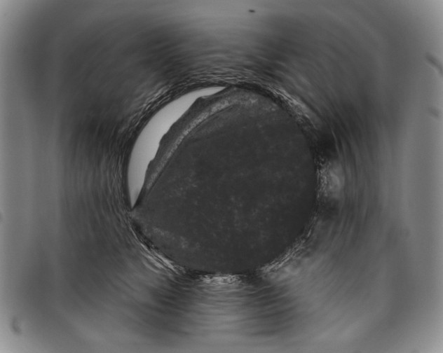 X0000097950517200804141007