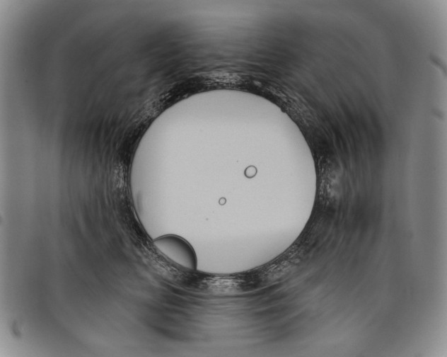 X0000097950518200804141007