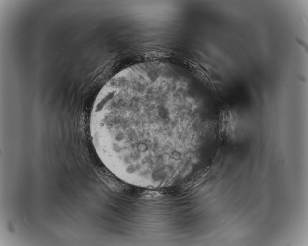 X0000097950519200804141007