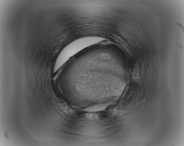 X0000097950520200804141007