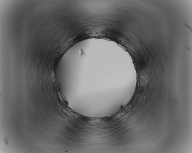 X0000097950521200804141007