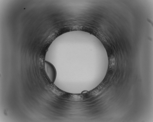 X0000097950522200804141006
