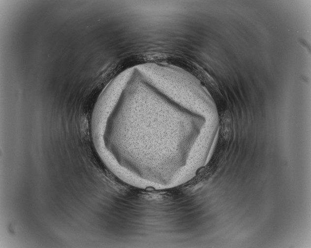 X0000097950523200804141006