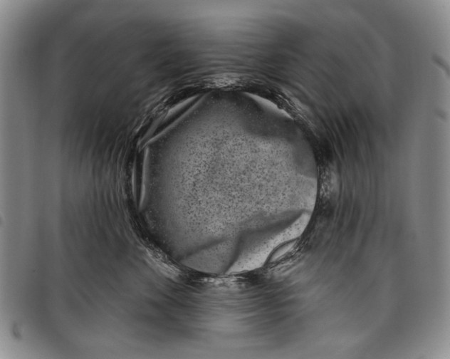 X0000097950524200804141006