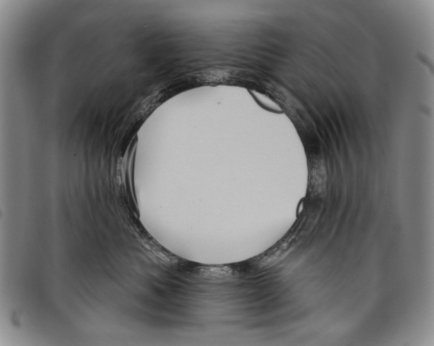 X0000097950525200804141006