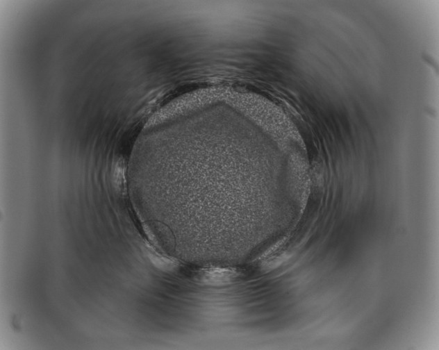 X0000097950527200804141006