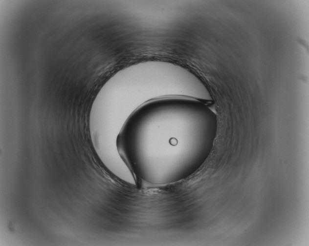 X0000097950528200804141006