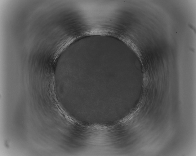 X0000097950529200804141006