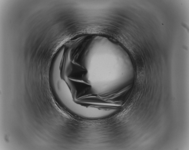 X0000097950530200804141006
