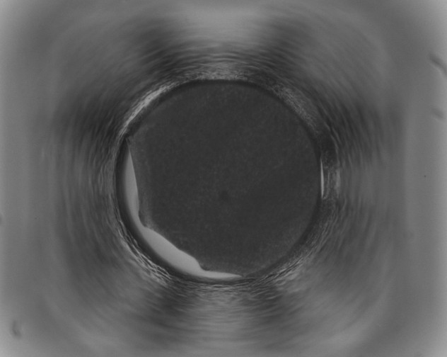X0000097950531200804141006
