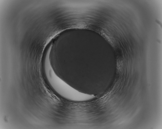 X0000097950532200804141006