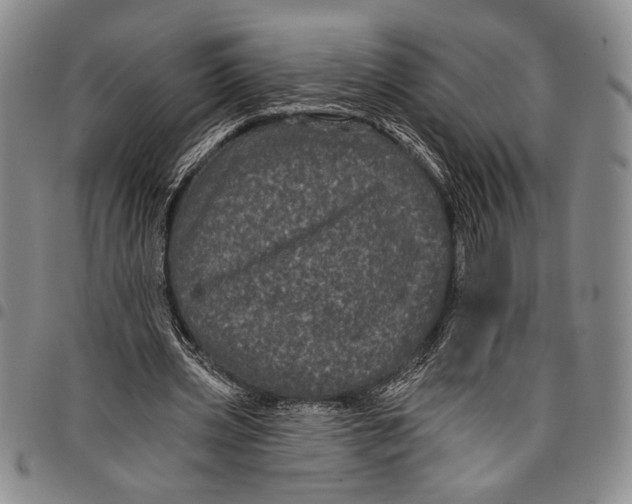 X0000097950533200804141006