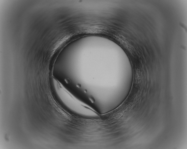 X0000097950535200804141006