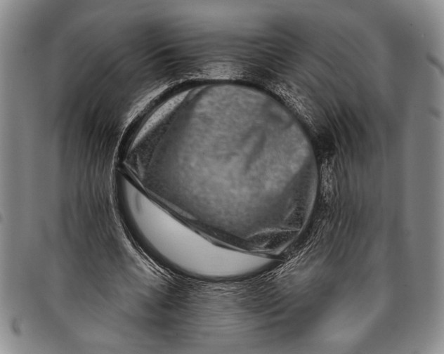 X0000097950536200804141006