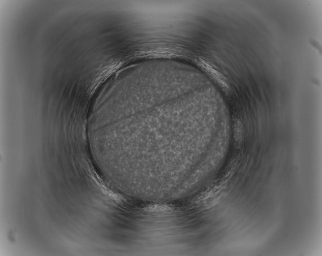 X0000097950537200804141006