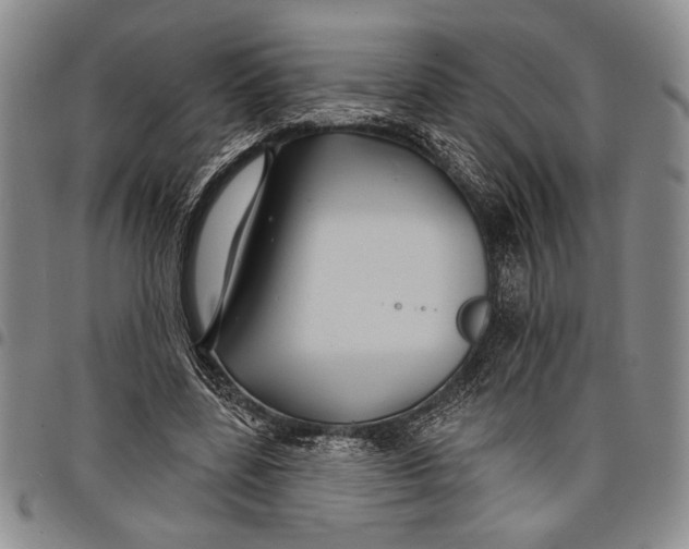 X0000097950539200804141006
