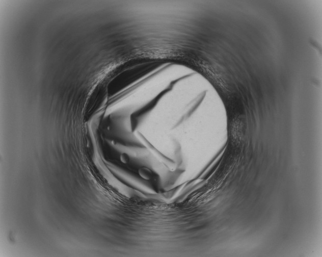 X0000097950540200804141006