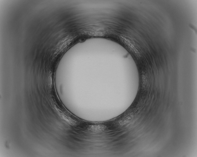 X0000097950541200804141006
