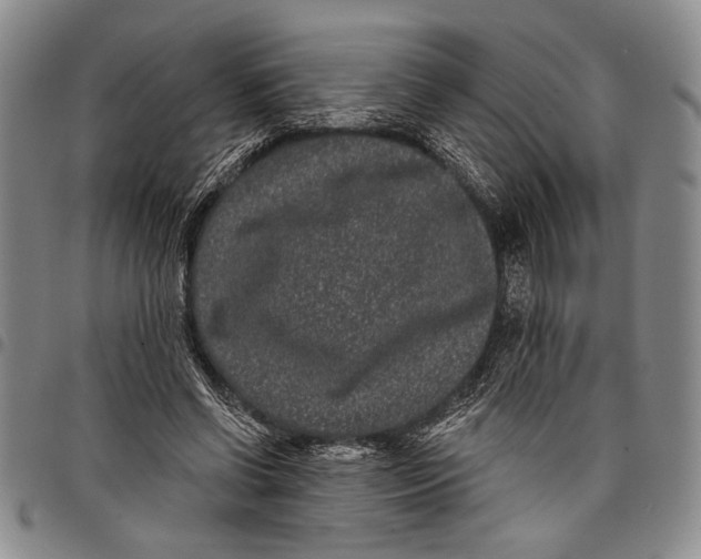 X0000097950542200804141006