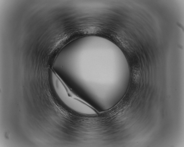 X0000097950543200804141006