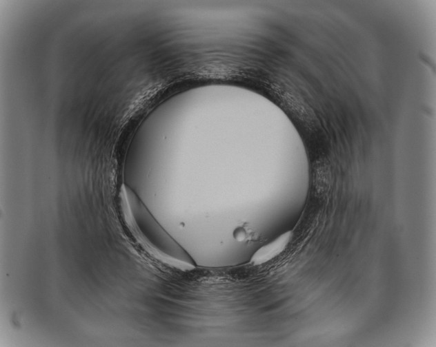 X0000097950544200804141006