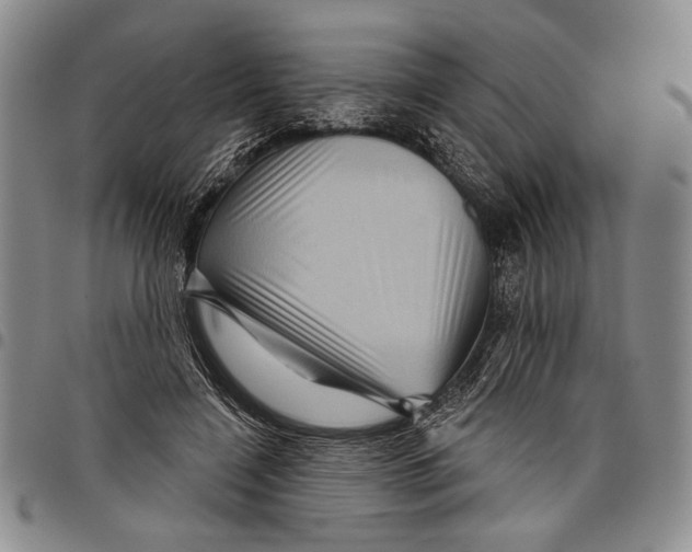 X0000097950548200804141006