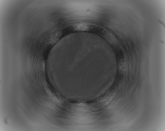 X0000097950551200804141006