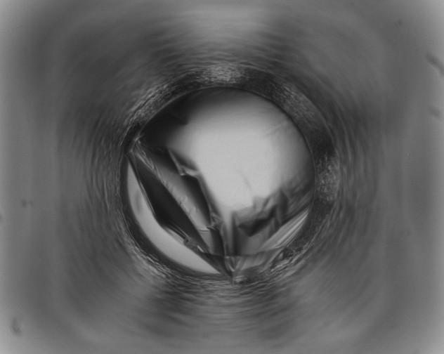 X0000097950552200804141006