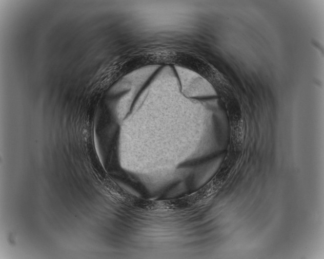 X0000097950553200804141006