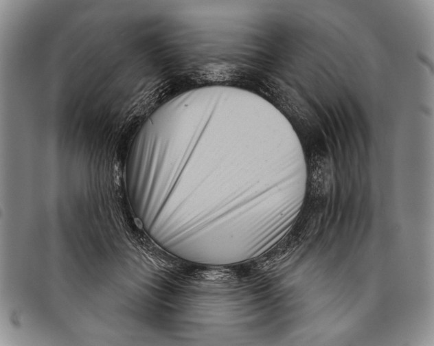 X0000097950555200804141006