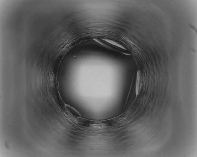 X0000097950556200804141006