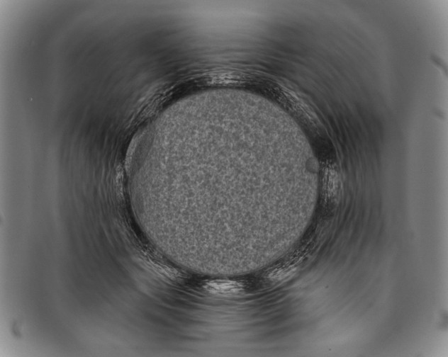 X0000097950557200804141006