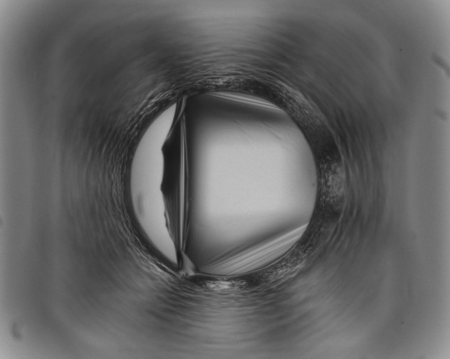 X0000097950558200804141006