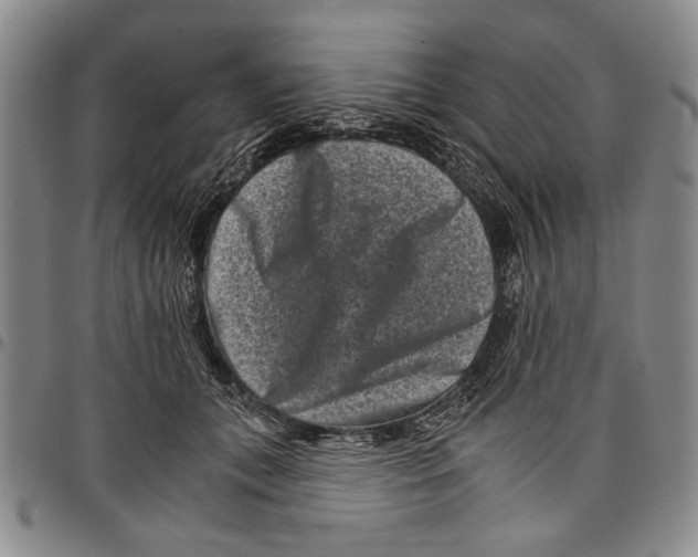 X0000097950559200804141006