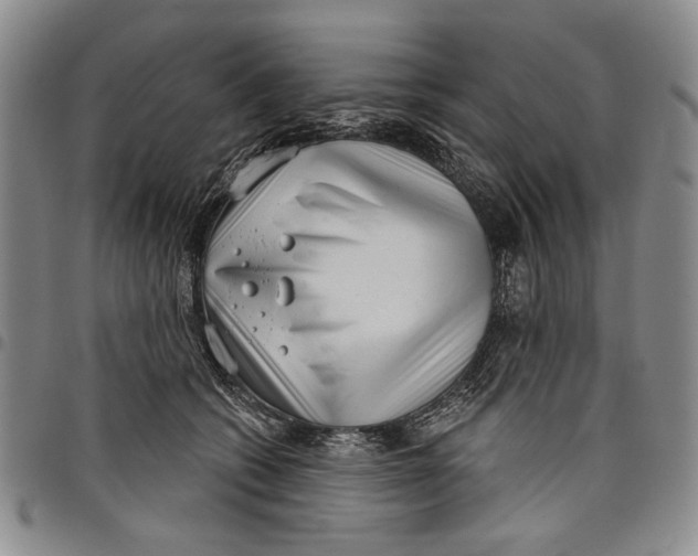 X0000097950562200804141006