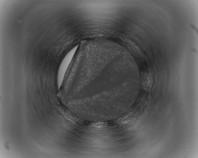X0000097950563200804141006