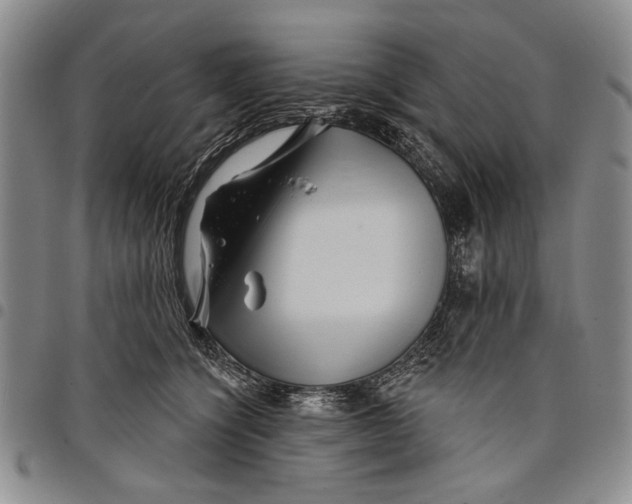 X0000097950564200804141006