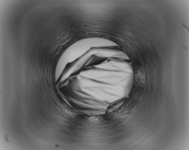 X0000097950566200804141006