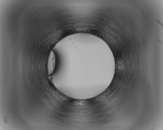 X0000097950567200804141006