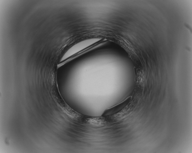 X0000097950568200804141006