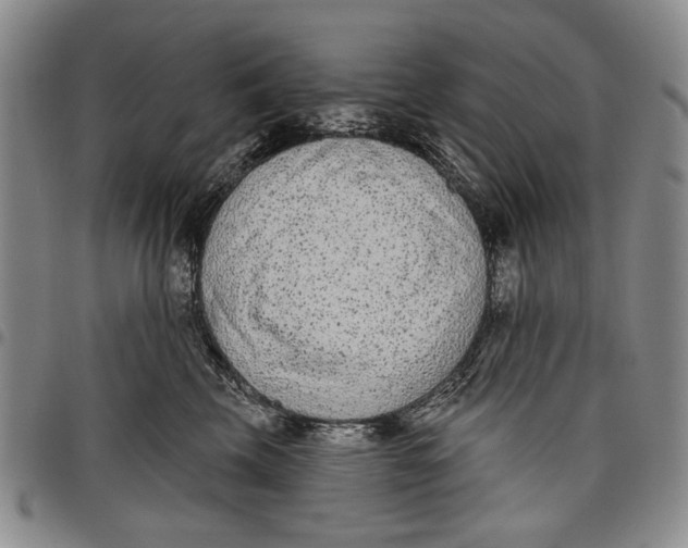 X0000097950569200804141006
