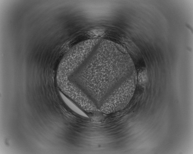 X0000097950570200804141006